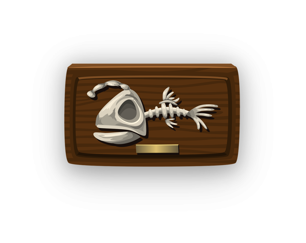 Solar Panel Repairs Archerfield