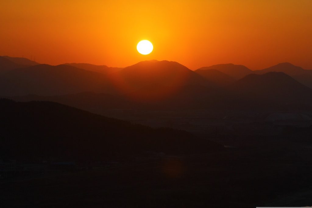 Solar Panel Repairs Buaraba