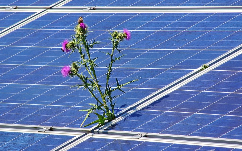 Solar Panel Repairs Clontarf Beach