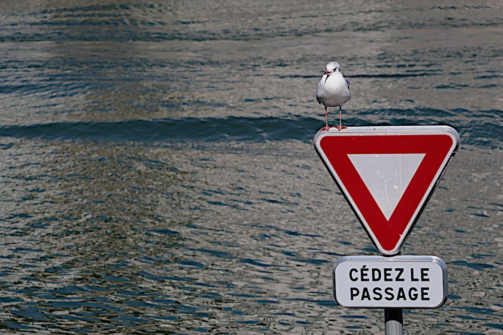 Solar Panel Repairs Drewvale