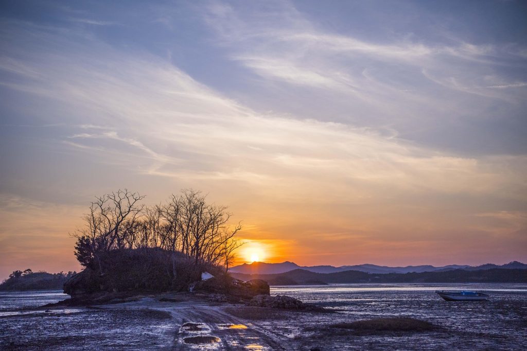 Solar Panel Repairs Harrisville