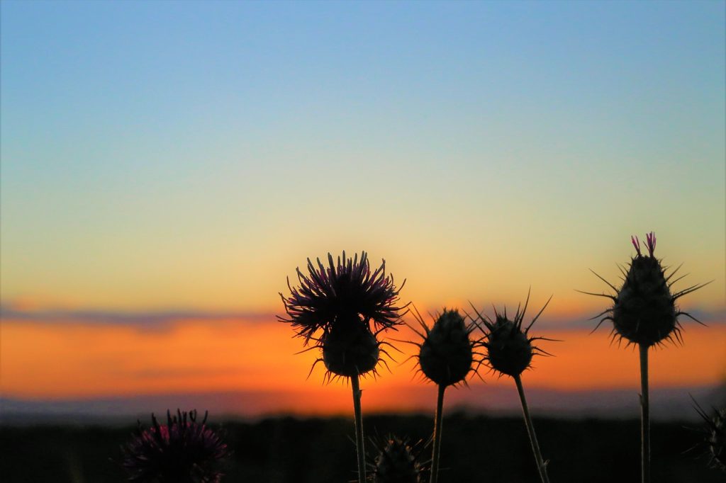 Solar Panel Repairs Kalbar