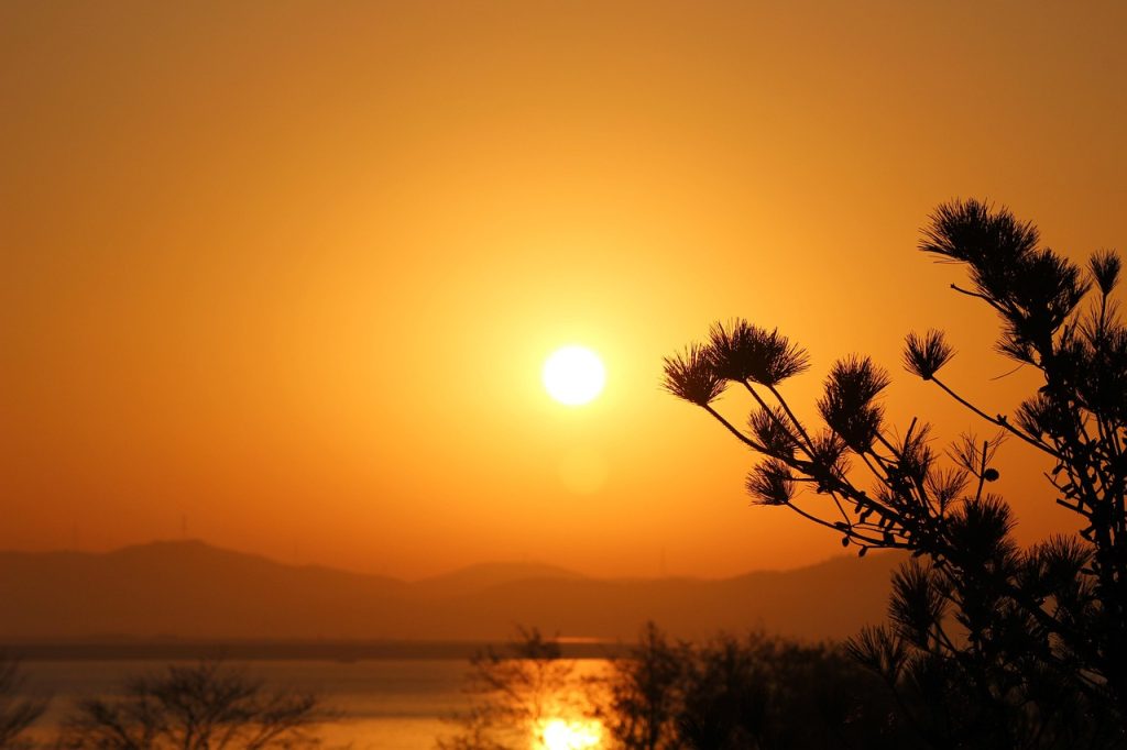 Solar Panel Repairs Plainland