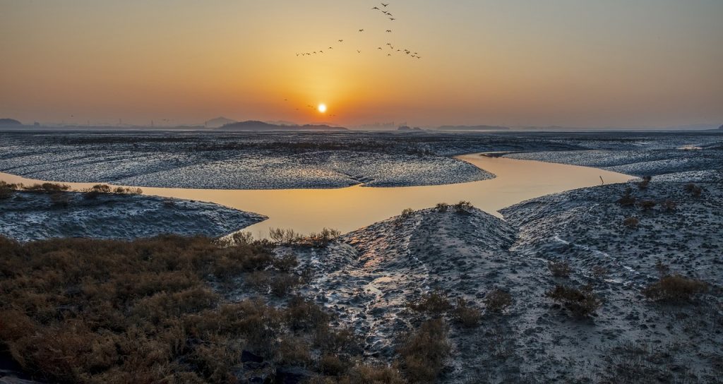 Solar Panel Repairs Springfield