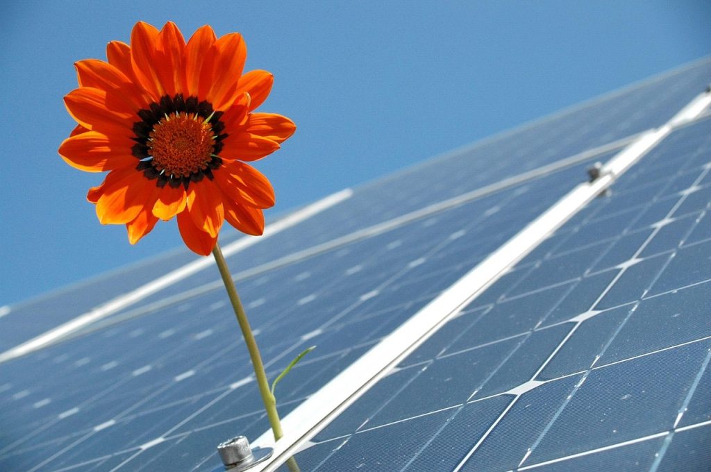 Solar Panel Repairs Upper Kedron