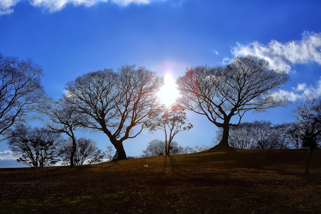 Solar Panel Repairs Washpool